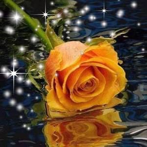 Meet your Posher, Flor